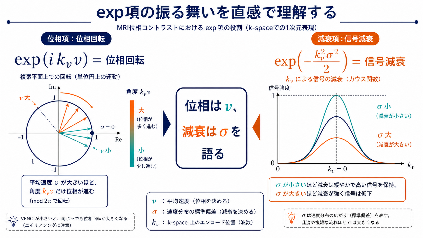 exp項の振る舞い