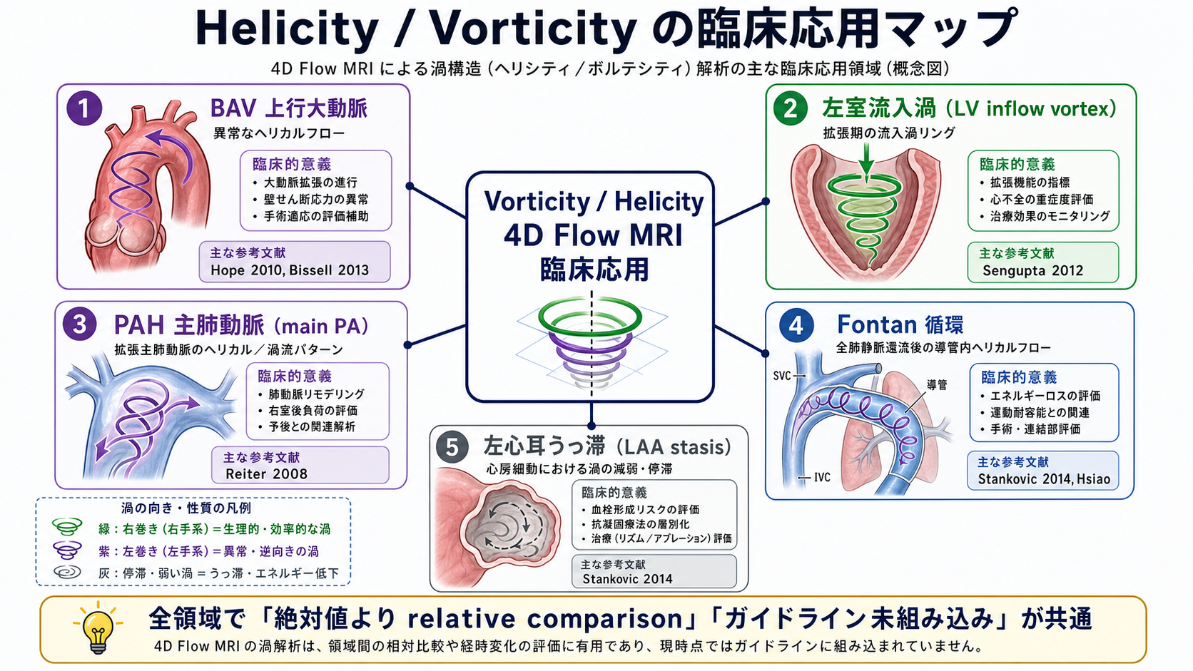 Helicity / Vorticityの臨床応用マップ