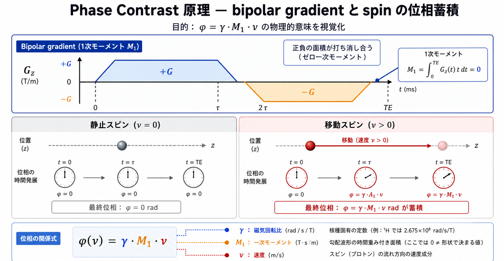 Phase Contrast MRIの速度位相写像