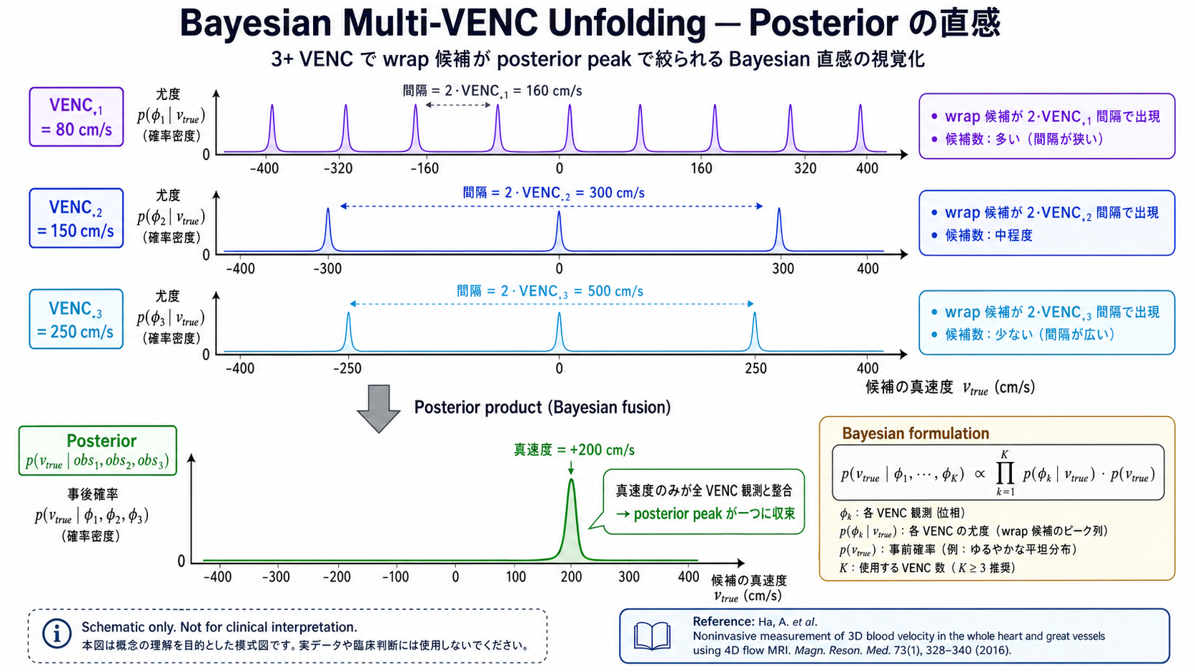 Multi-VENC Bayesian unfolding の posterior 直感図