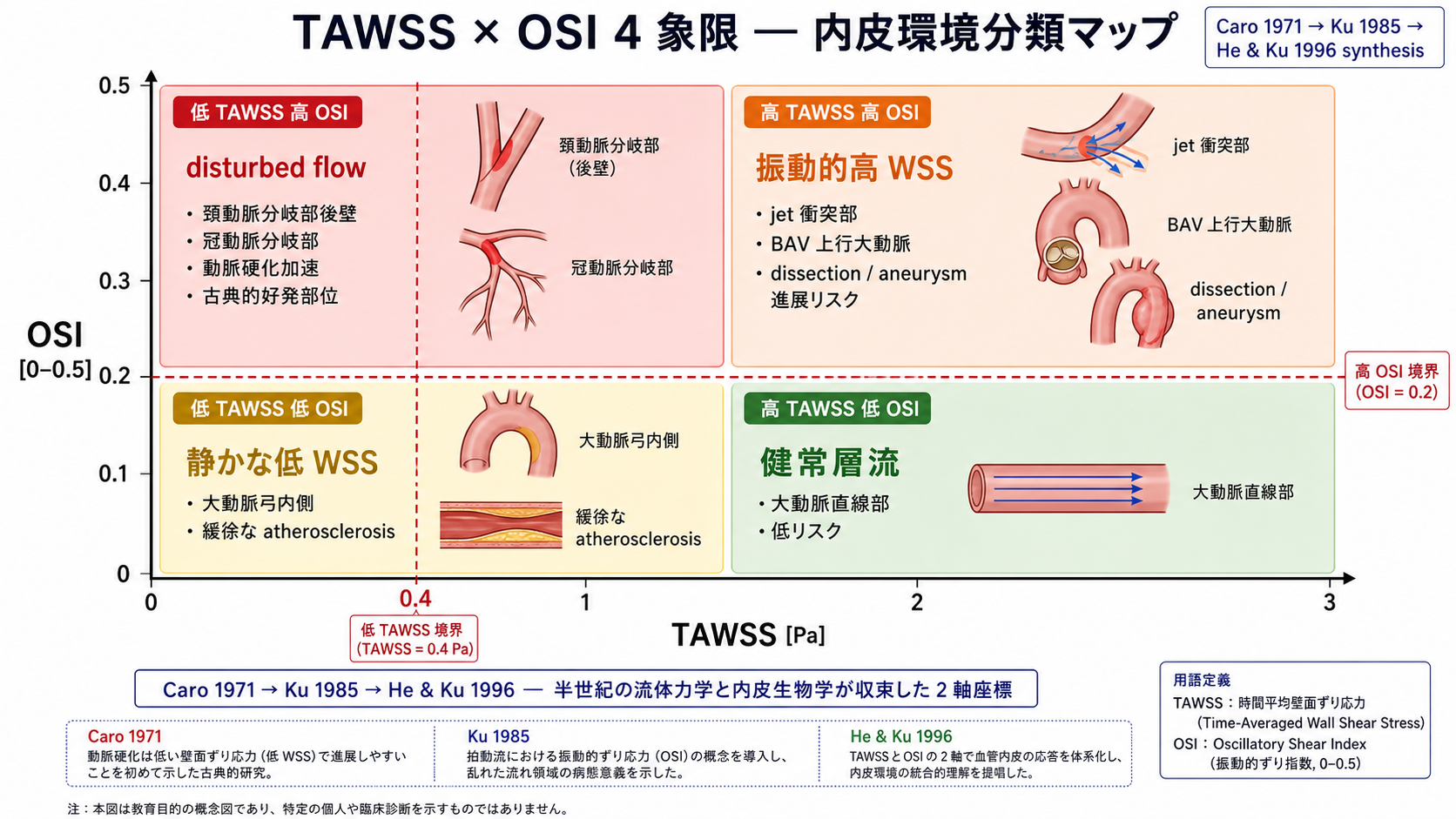 TAWSS × OSI 2 軸での内皮環境 4 象限分類