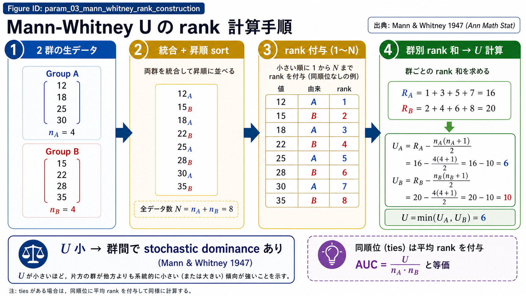 Mann-Whitney U の rank 付け → 群別 rank 和 → U 統計量計算の 4 ステップ可視化