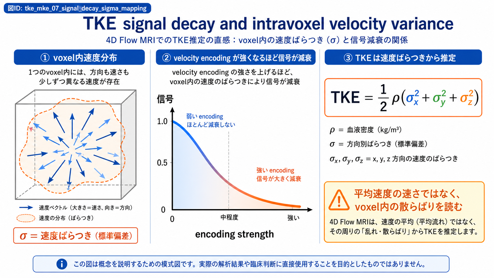 TKEが信号減衰とintravoxel velocity varianceから推定される直感図