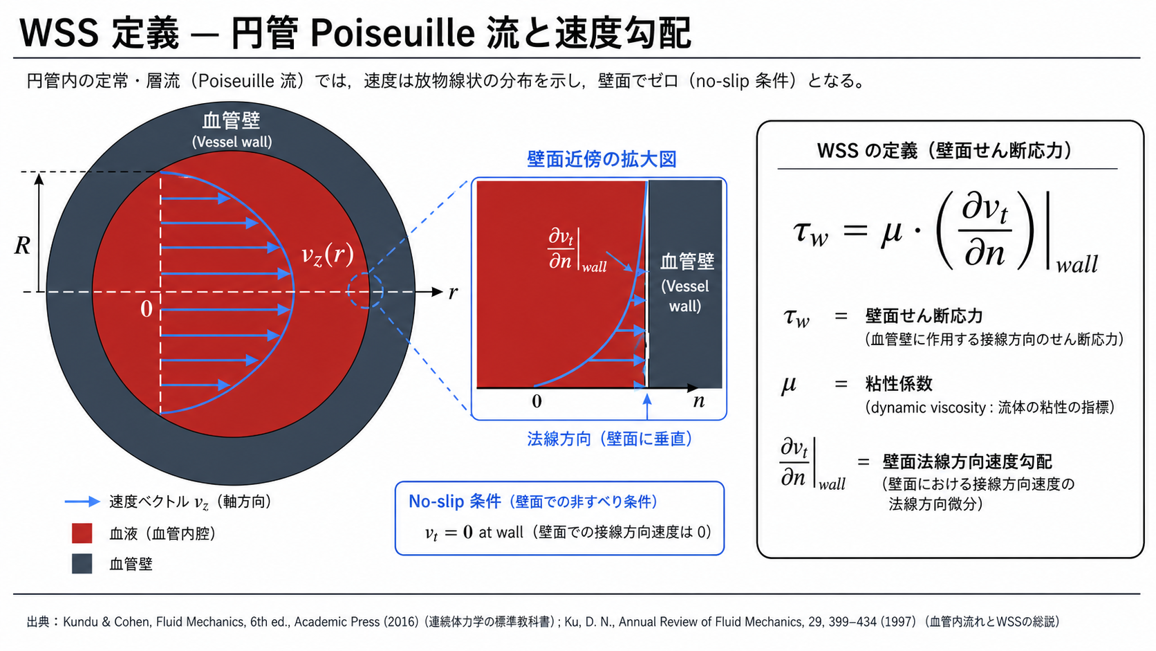 WSS の定義式と円管 Poiseuille 流での速度勾配の概念図