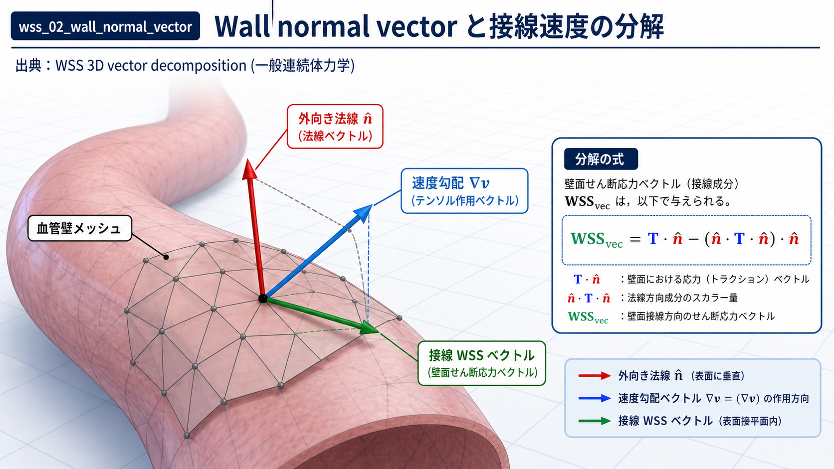 血管壁メッシュ上での法線ベクトルと WSS 接線成分の幾何学的抽出