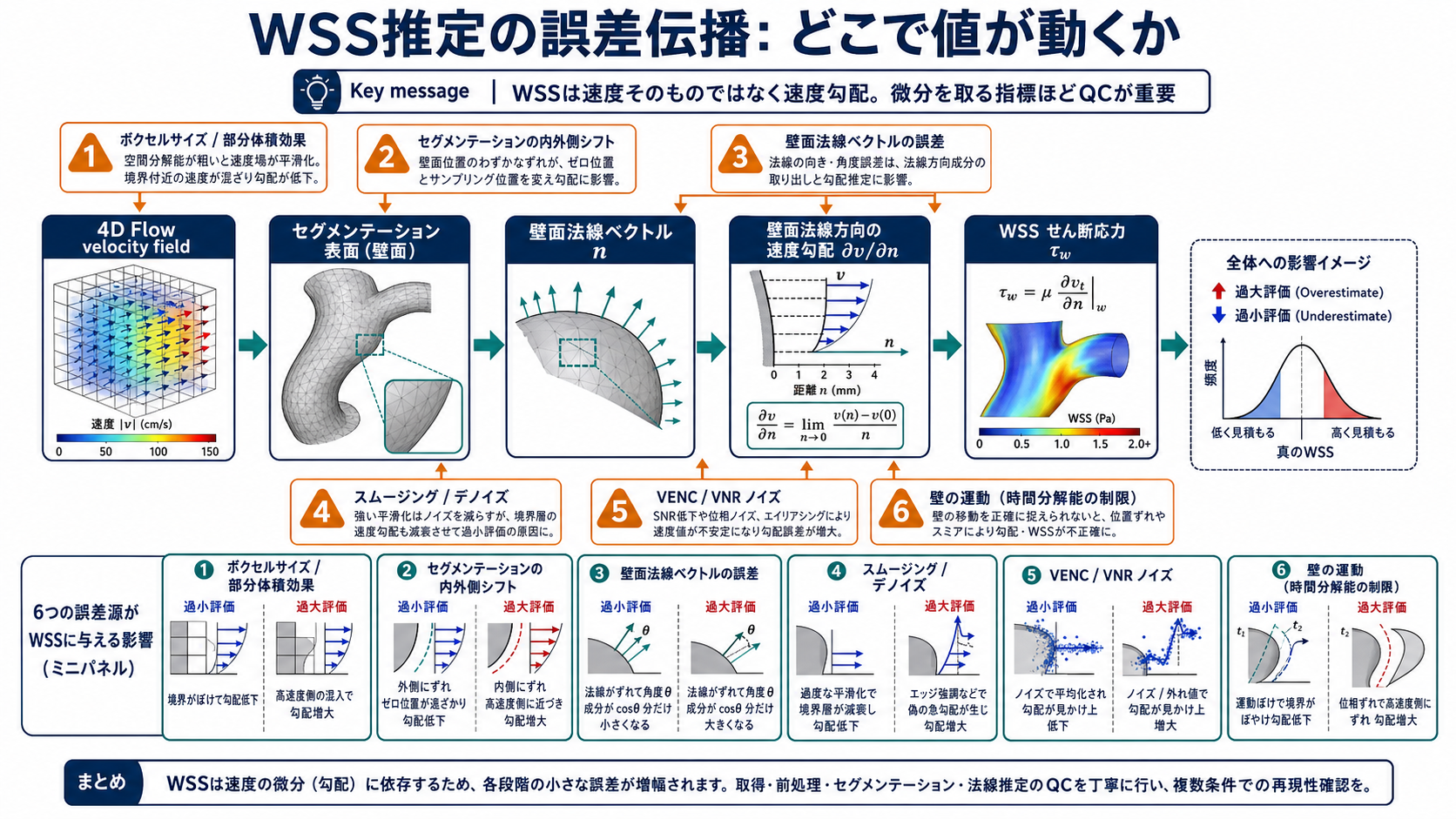 4D Flow MRI WSS 推定の誤差伝播